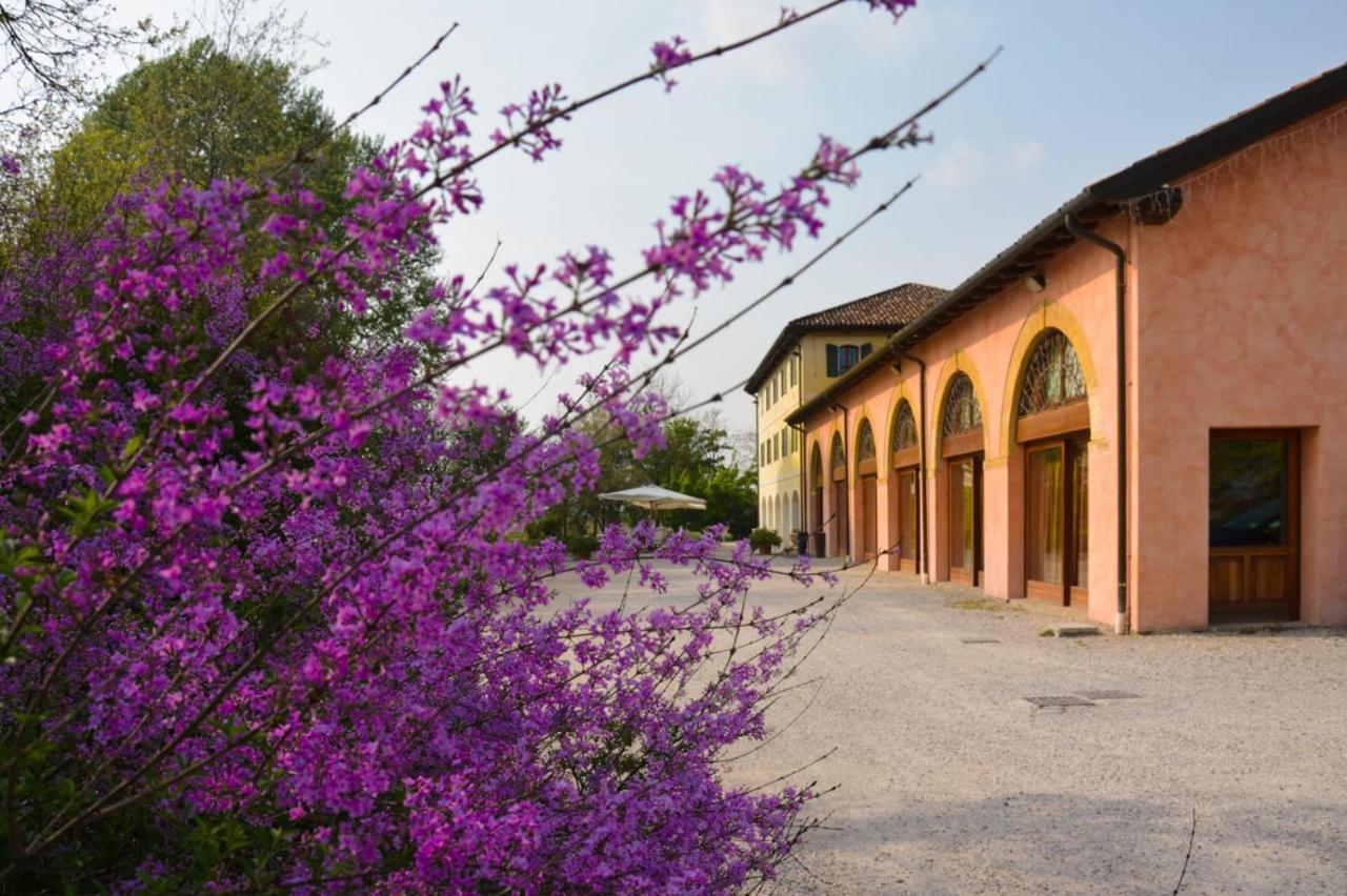 Agriturismo Rechsteiner Guest House Ponte di Piave Exterior foto